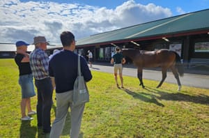 Matching AI with old-school knowledge - uni researchers using computers to help assess racehorses