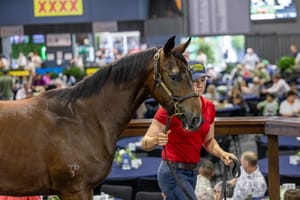 Yeppoon breeders’ family affair - $170,000 Spirit Of Boom filly tops opening Magic Millions session