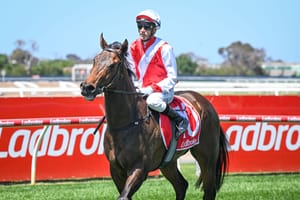 Straight Shorts - Thursday February 6 - Rising costs force Ladbrokes Racing Club change, sires and their winners-to-runners, Festival of Racing launched, Key reforms to WA gambling laws