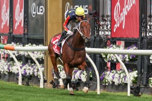 A Guineas path paved with family Gold for Victoria Derby winner