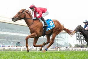 Saturday Shorts - Palm Angel and Field Of Play burst into Blue Diamond calculations, a Shocking G1 double