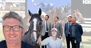 Rowe on Monday - Yarradale planning for the future, hard work pays off for Upper Bloodstock and Devil Night to move Yulong needle