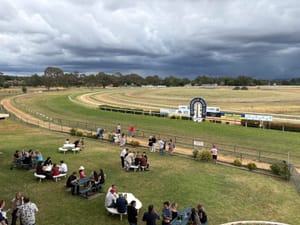 Crown plans – Racing NSW assumes land management of five racecourses