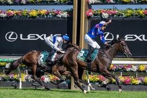 Saturday Shorts - Sutton and Feroce claim Guineas, Waller and J-Mac dominate Randwick