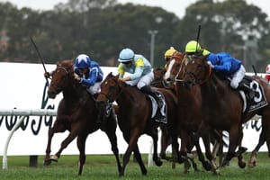 Straight Shorts - Tuesday March 4 - Cyclone to impact Millions sale, Golden Eagle ticket for NZB Kiwi winner, Feroce's autumn detour, Mongolian owner active at Premier