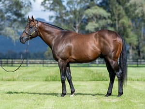 Straight Shorts - Wednesday April 30 - Zoustar share sells for $1.1m, new venture for Kiwi agent, NSW training partnership renamed
