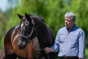 Straight Shorts - Monday May 19 - Orton steps down from TBNSW board, ACMA has US wagering operator in its sights, another NH stakes success for Zoustar, contingency plan for Amelia's Jewel