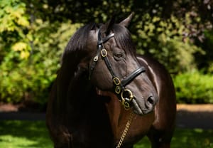 Straight Shorts - Thursday May 6 - Record fee for Wootton Bassett, trainer outed for two years, $25m betr buy and MyRacehorse eyes NZ