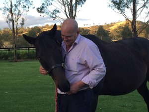 Straight Shorts - Friday June 20 - Moody, Purton join Hall of Fame, betr ups ante in PointsBet bid, NZ Listed winner for Hello Youmzain, Group 1 placegetter peaks for Strickland Stakes