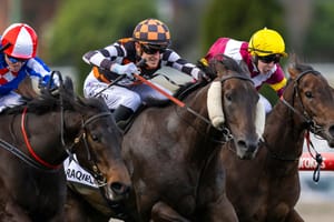 Run The Numbers – History repeats in Moir for Group 1-producing mares
