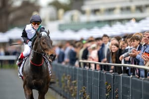 Run The Numbers -  Brightside part of an elite quartet