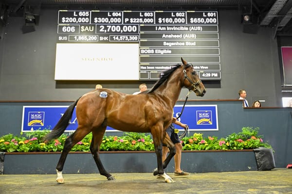 Which stables do the million-dollar yearlings go to?