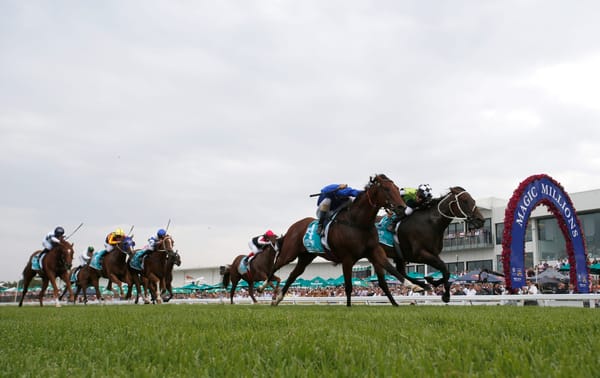 Widespread praise as refurbished Gold Coast racetrack passes first test