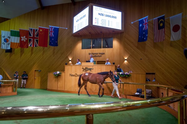 Entain, NZ racing initiatives hailed as a ‘game-changer’ ahead of Karaka sale