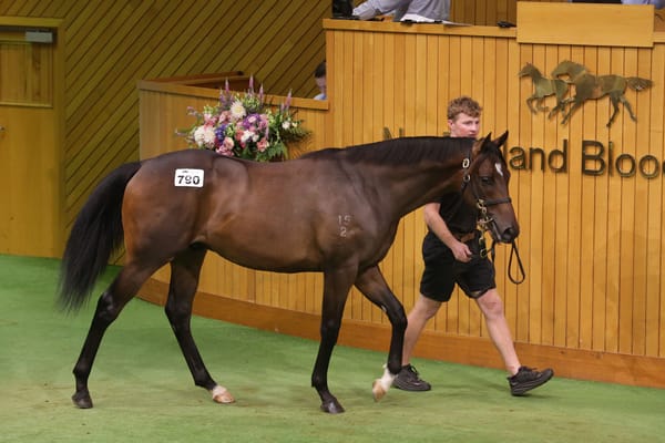 Toowoomba stable buys top Lot to open Karaka's Book 2 Sale