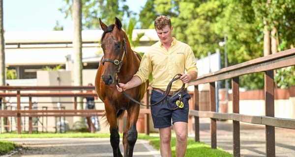 $1.9 million Too Darn Hot colt caps memorable day for Camilleri