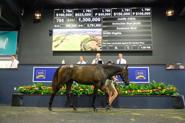 Waterhouse/Bott back Storm Boy recipe with another Justify