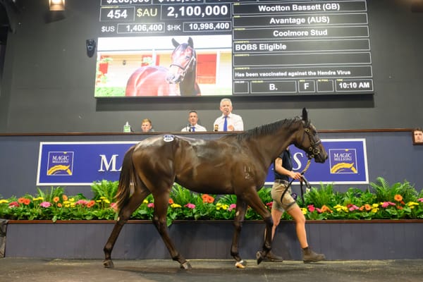 Avantage Te Akau at Magic Millions as blueblood filly fetches $2.1 million