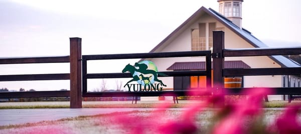 Yulong targets ‘significant’ broodmare band reduction in 2024