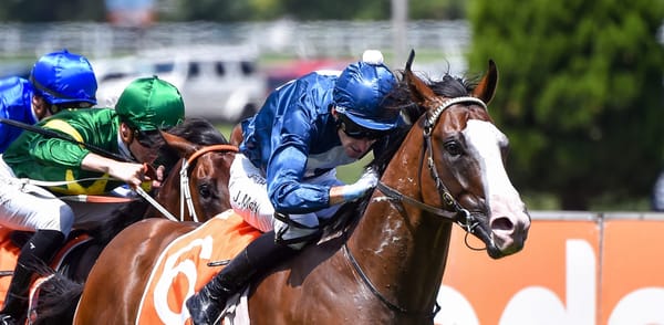 Top sprinter Lofty Strike retired to stand at Victoria's Swettenham Stud