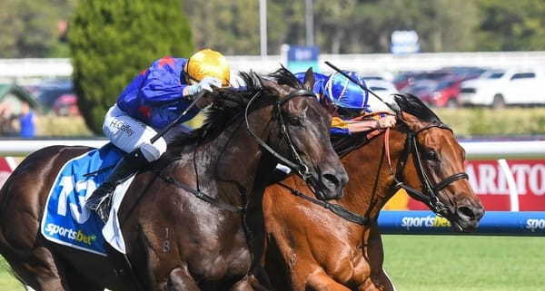 Run The Numbers - $20,000 could have bred you three Group 1 winners