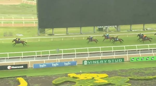 Golden Slipper favourite Storm Boy dazzles in Rosehill barrier trial