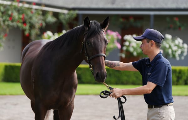 Who buys Winx’s first foal at the Australian Easter Yearling Sale?