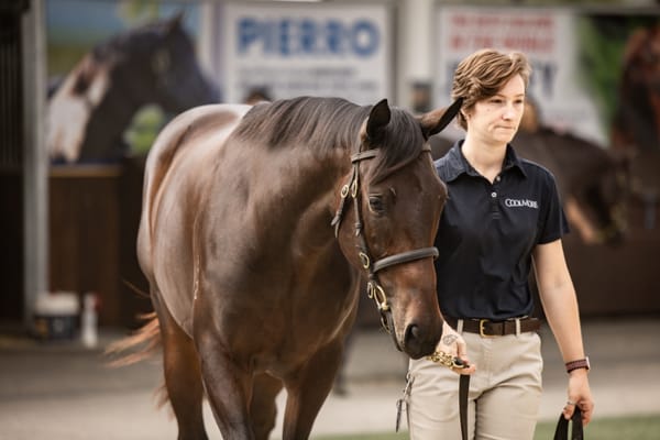 Kepitis keeps ‘collector’s item’ Winx filly in the family for $10 million