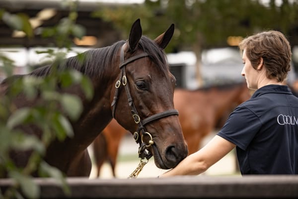 Easter’s guessing game - where will the bidding stop for Winx’s daughter?