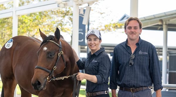 Tassort colt tops subdued HTBA Yearling Sale