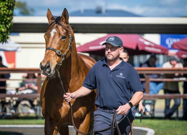 $1.4 million Rubisaki signs off on near $100 million broodmare sale