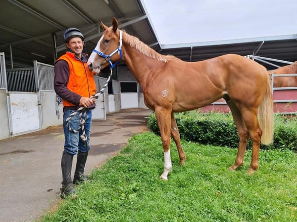 How Wordsmith rewrote the course of Tassie racing