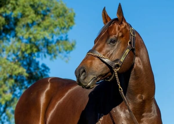 $1.3 million Zoustar share values Widden star at $78 million