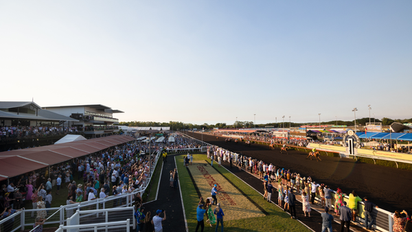 Survival of the fittest - challenges facing Darwin’s iconic Cup carnival