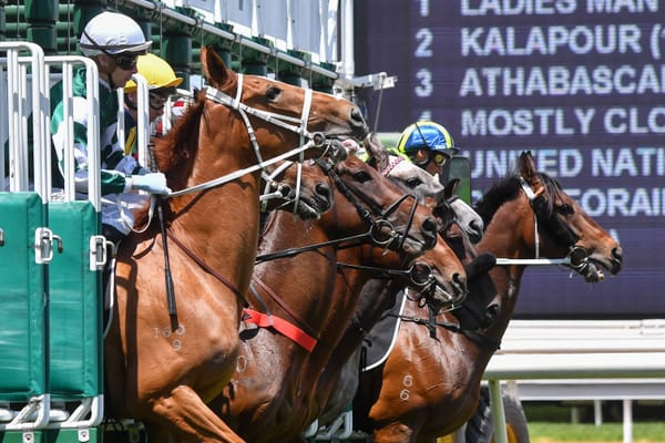 Memsie Stakes meeting to mark return of 10-race metro cards in Victoria