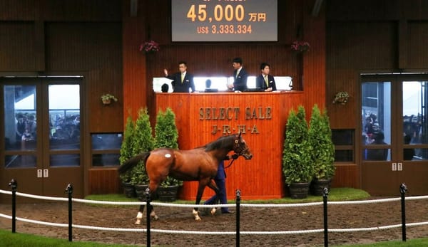 Select neglect – Australia’s Japanese obsession yet to stretch to yearlings and foals