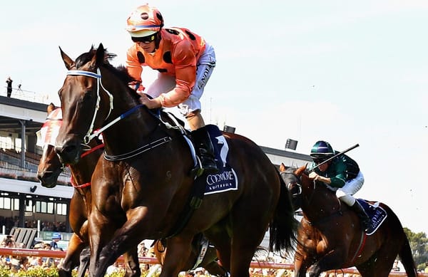 Black Caviar's sudden death prompts outpouring of tributes