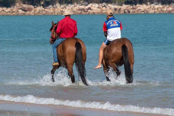 Crocs, bull sharks, oil and sand – The Darwin difference