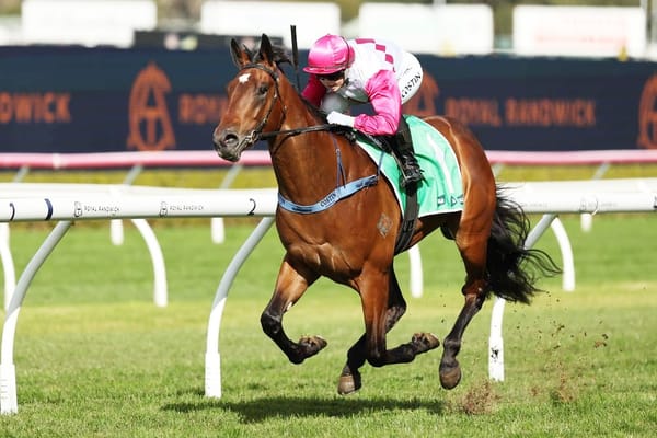 Wanaruah ride - Fernrigg on new adventure with exciting Snitzel colt