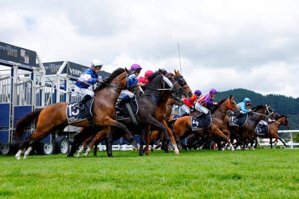 “It's been under-invested for decades” - Entain windfall can’t mask old problems for NZ racing