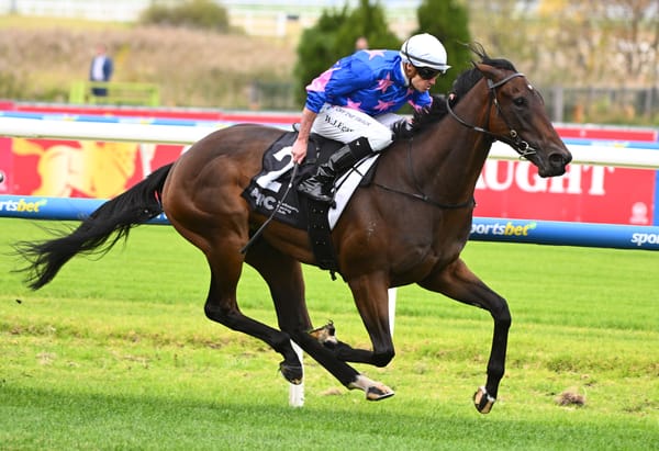 Guineas runner puts rookie trainer Dominic Sutton on fast track to racing’s biggest stage