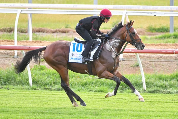 'Unsuitable to compete' - Aidan O’Brien's Cup curse rolls on as leading Melbourne Cup chance ruled out by vets