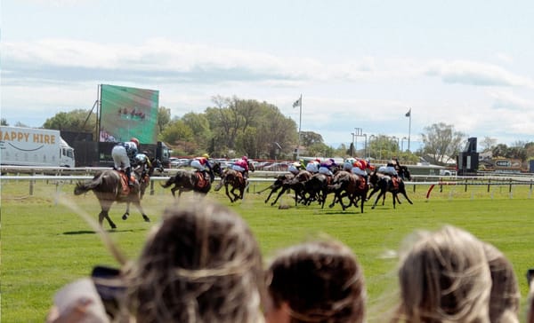 Hastings sidelined - Key New Zealand racecourse to be rebuilt