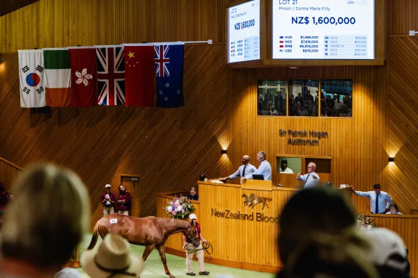 Blueblooded fillies to the fore as NZB releases bumper 2025 catalogue for Karaka