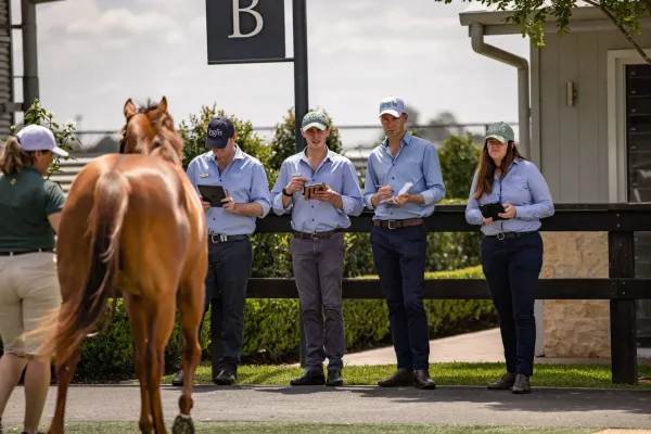 Run The Numbers – Breeze-up revival as two-year-old market hits new heights