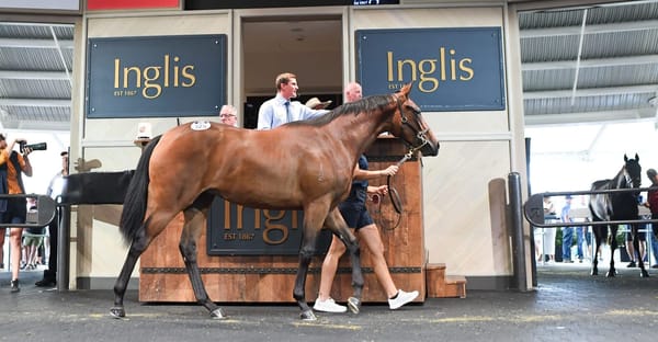 An oasis of success - Classic sale 2025 catalogue released