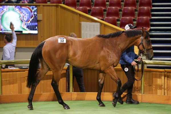 Yulong’s strength on display at Karaka - Zhang snaps up I Am Invincible colt for $675,000