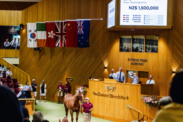 New Zealand Bloodstock - Karaka 2025 - Book 1