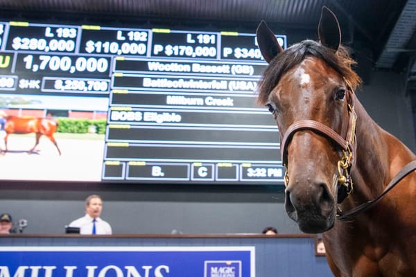 Platform set - Bowditch ‘satisfied’ with $45 million opening Magic Millions session