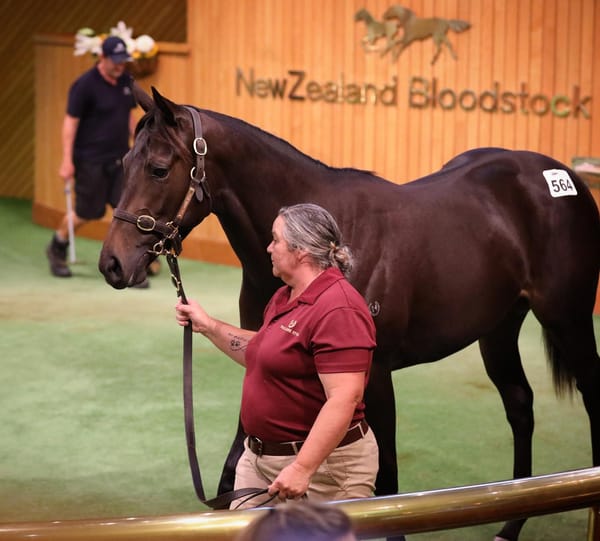 Straight Talk Podcast - Karaka Book 1 wrap - Prowess' sister sells for $1.1 million